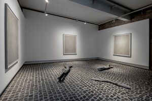 Aufnahme aus der Ausstellung Edge Effect von Jonas Wendelin