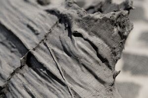 Aufnahme aus der Ausstellung Edge Effect von Jonas Wendelin