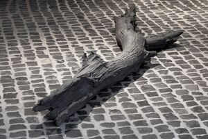 Aufnahme aus der Ausstellung Edge Effect von Jonas Wendelin