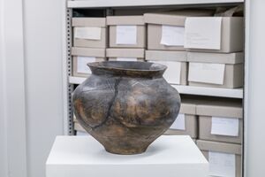 Aufnahme aus der Ausstellung Edge Effect von Jonas Wendelin