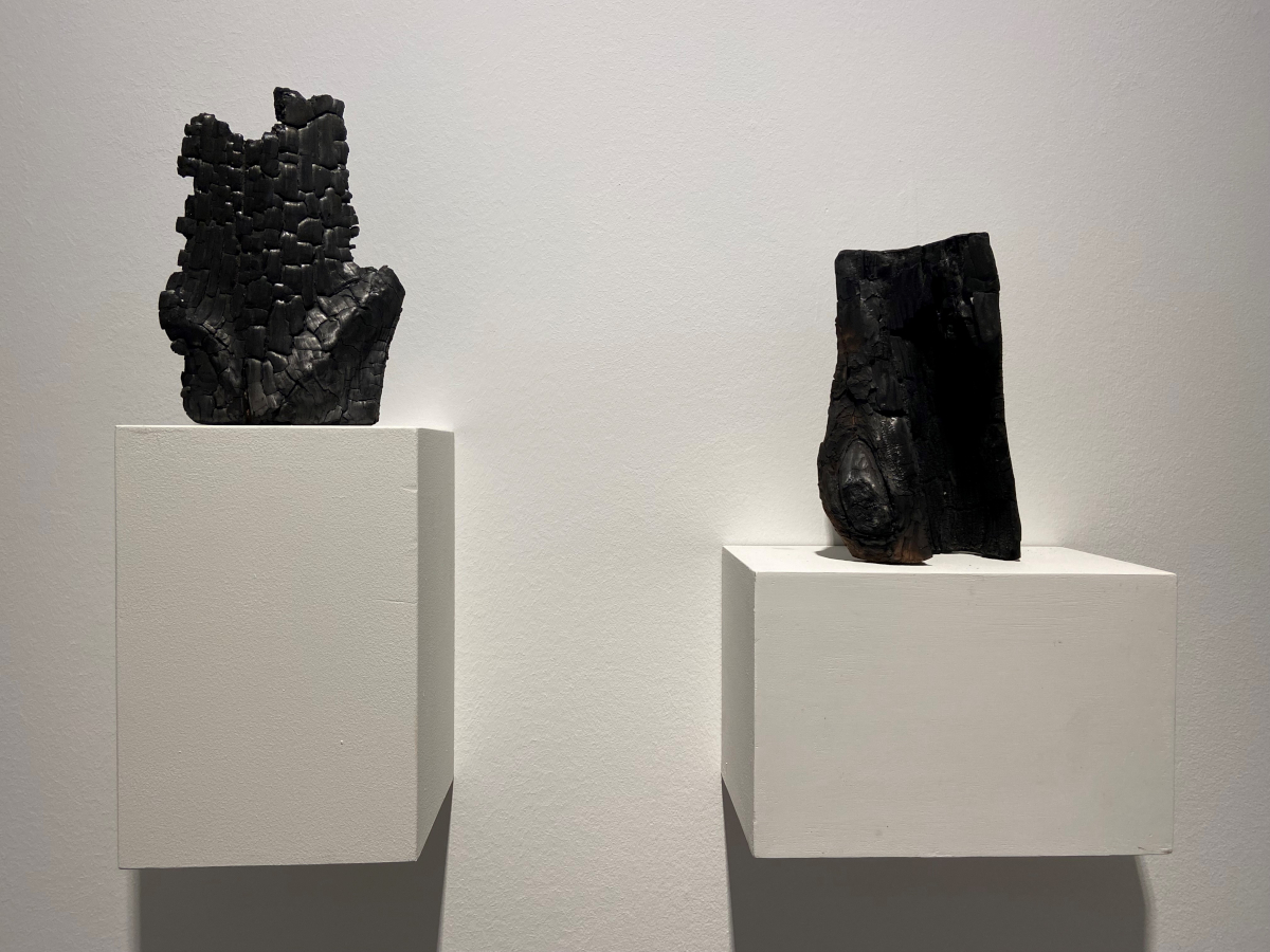 Impressionen aus der Ausstellung Dialog von Bruno Walpoth und Erwin Wortelkamp