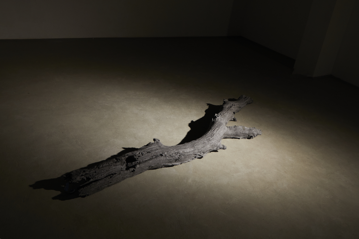 Jonas Wendelin, Impatience of Permanence